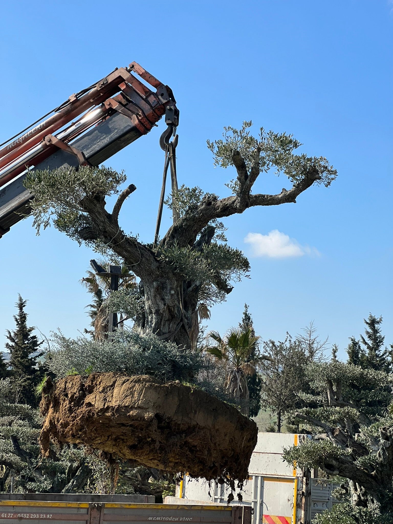 MEMİŞOĞLU VİNÇ HİZMETLERİ